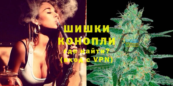 твердый Лагань