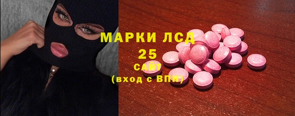 твердый Лагань