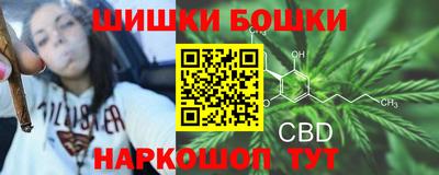 крисы Заводоуковск
