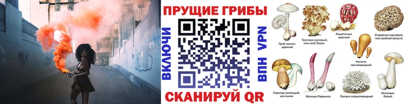 Псилоцибиновые грибы мицелий  Узловая 