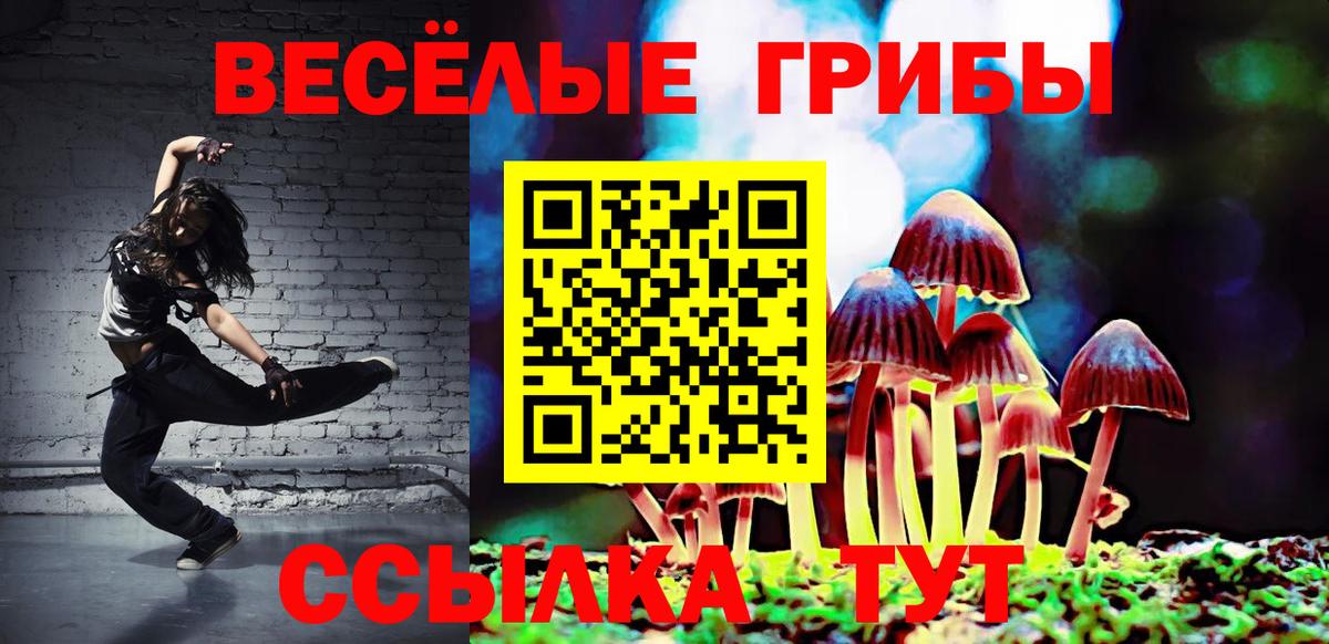 Галлюциногенные грибы мицелий Узловая