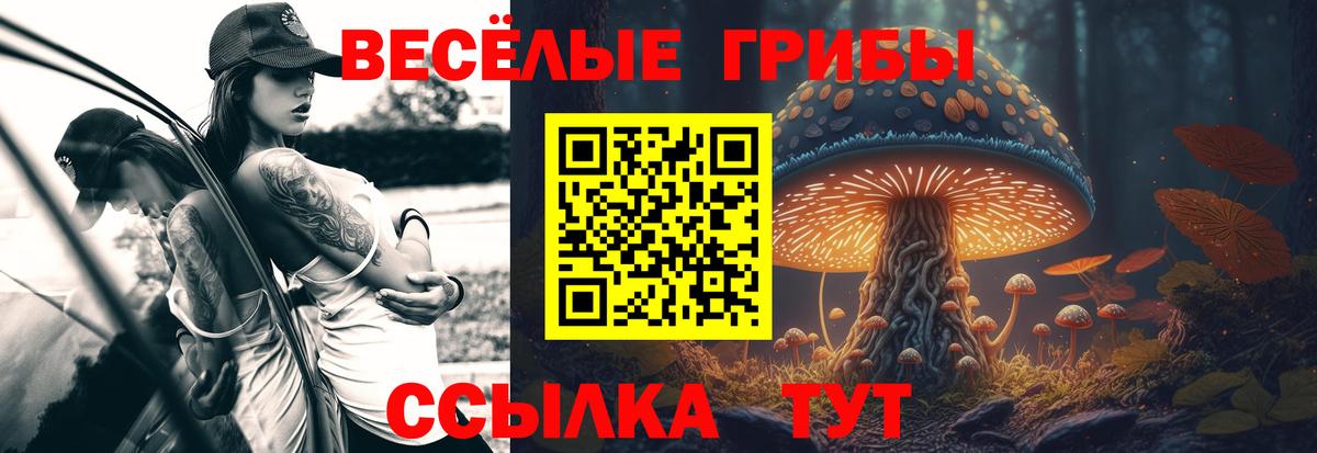 где найти наркотики  Вход с VPN  Узловая  Псилоцибиновые грибы Magic Shrooms 