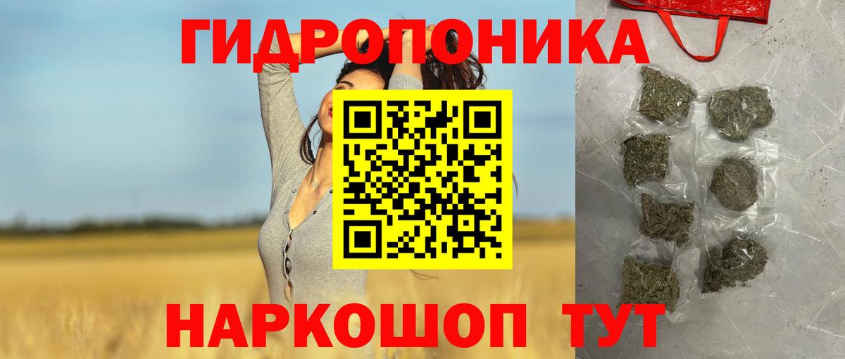 Бошки Шишки планчик Узловая
